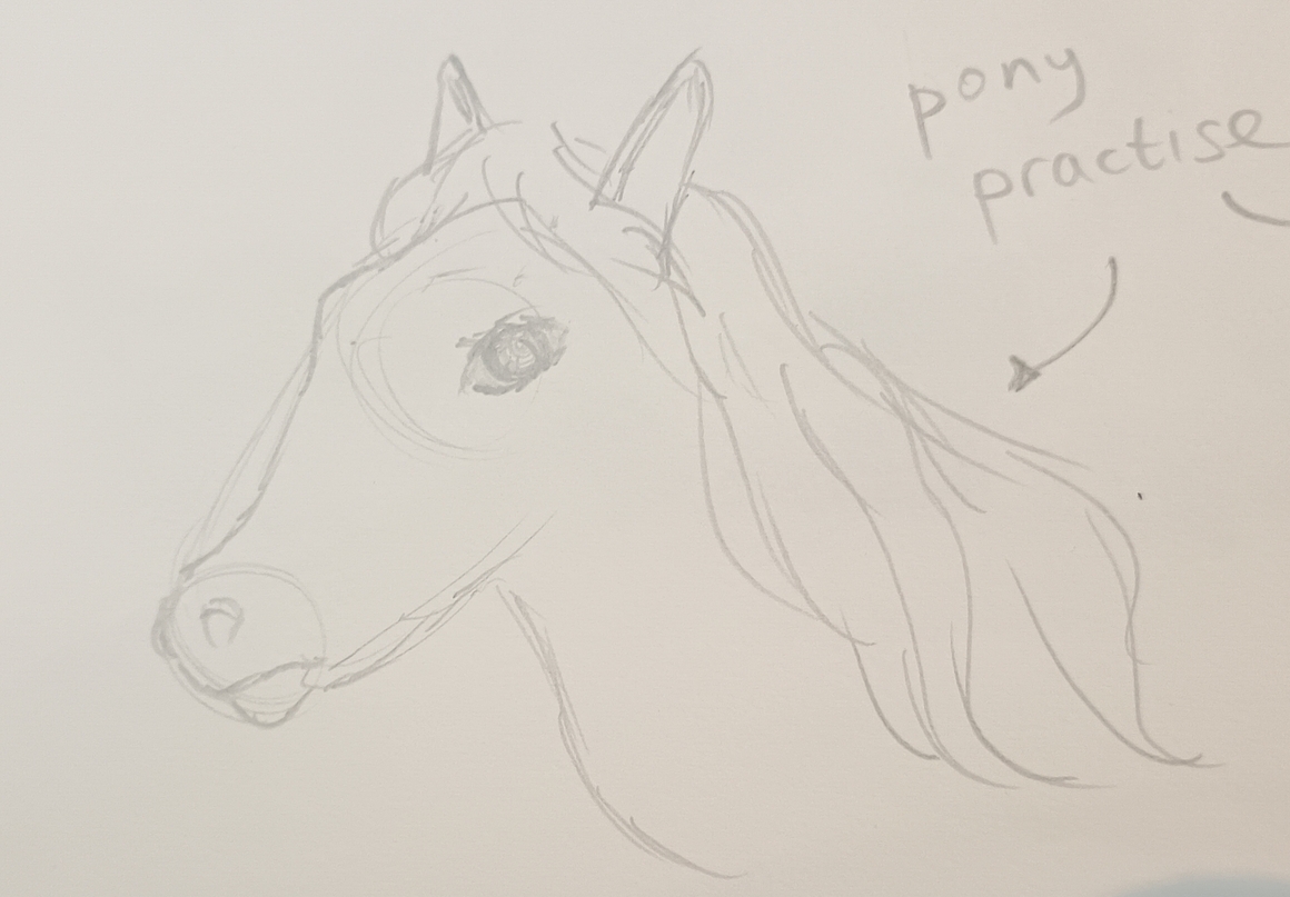 A portrait of a pony